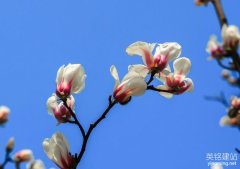 望城企業(yè)建站